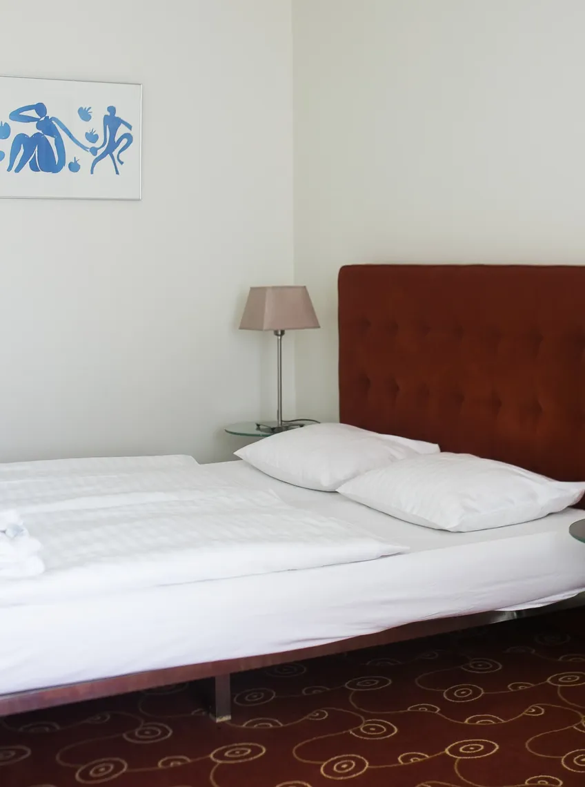 suite comfort dona hotel kaliningrad3 original